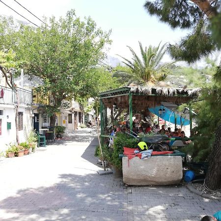Apartman Marina كرفافيكا المظهر الخارجي الصورة