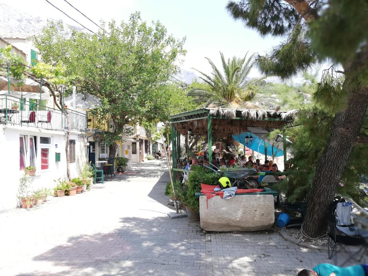 Apartman Marina كرفافيكا المظهر الخارجي الصورة